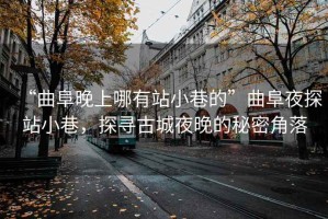 “曲阜晚上哪有站小巷的”曲阜夜探站小巷，探尋古城夜晚的秘密角落
