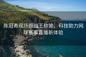 陳冠?，F場(chǎng)觀(guān)戰王欣瑜，科技助力網(wǎng)球賽事直播新體驗