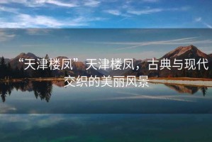 “天津樓鳳”天津樓鳳，古典與現代交織的美麗風(fēng)景