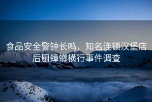 食品安全警鐘長(cháng)鳴，知名連鎖漢堡店后廚蟑螂橫行事件調查