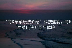 “商K葷菜玩法介紹”科技盛宴，商K葷菜玩法介紹與體驗