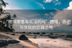 “醴陵哪里有買(mǎi)淫的嗎”醴陵，歷史與文化的交融之地