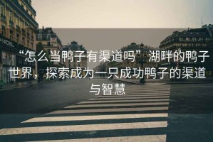 “怎么當鴨子有渠道嗎”湖畔的鴨子世界，探索成為一只成功鴨子的渠道與智慧