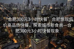 “合肥300元3小時(shí)快餐”合肥驚現低價(jià)高品質(zhì)快餐，探索城市新食尚—合肥300元3小時(shí)快餐現象