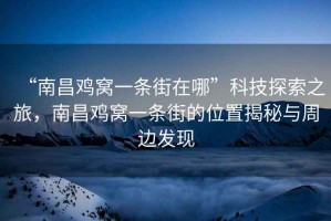 “南昌雞窩一條街在哪”科技探索之旅，南昌雞窩一條街的位置揭秘與周邊發(fā)現