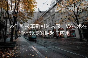 “vx”科技革新引領(lǐng)未來(lái)，VX技術(shù)在通信領(lǐng)域的崛起與應用
