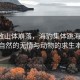 強震致山體崩落，海豹集體跳海躲避，大自然的無(wú)情與動(dòng)物的求生本能