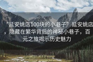 “延安姚店100塊的小巷子”延安姚店，隱藏在繁華背后的神秘小巷子，百元之旅揭示歷史魅力
