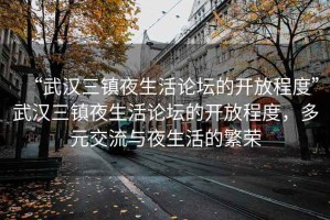 “武漢三鎮夜生活論壇的開(kāi)放程度”武漢三鎮夜生活論壇的開(kāi)放程度，多元交流與夜生活的繁榮