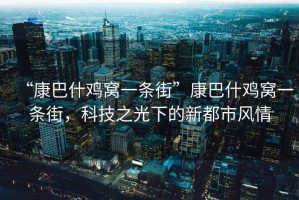 “康巴什雞窩一條街”康巴什雞窩一條街，科技之光下的新都市風(fēng)情