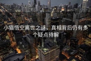 小貓悟空離世之謎，真相背后仍有多個(gè)疑點(diǎn)待解