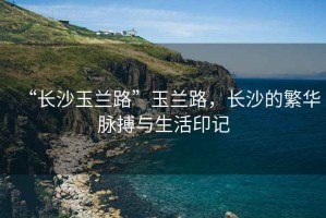 “長(cháng)沙玉蘭路”玉蘭路，長(cháng)沙的繁華脈搏與生活印記