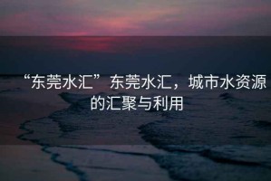 “東莞水匯”東莞水匯，城市水資源的匯聚與利用