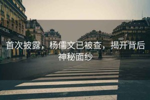 首次披露，楊儒文已被查，揭開(kāi)背后神秘面紗
