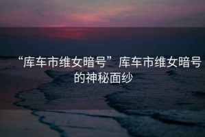 “庫車(chē)市維女暗號”庫車(chē)市維女暗號的神秘面紗