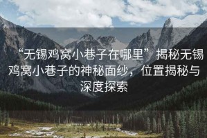 “無(wú)錫雞窩小巷子在哪里”揭秘無(wú)錫雞窩小巷子的神秘面紗，位置揭秘與深度探索