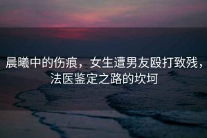 晨曦中的傷痕，女生遭男友毆打致殘，法醫鑒定之路的坎坷