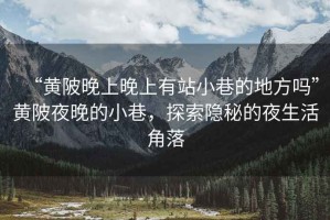 “黃陂晚上晚上有站小巷的地方嗎”黃陂夜晚的小巷，探索隱秘的夜生活角落