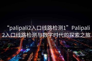 “palipali2入口線(xiàn)路檢測1”P(pán)alipali 2入口線(xiàn)路檢測與數字時(shí)代的探索之旅