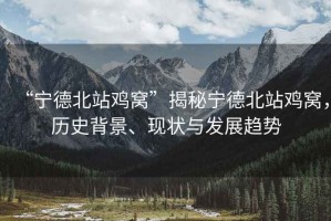 “寧德北站雞窩”揭秘寧德北站雞窩，歷史背景、現狀與發(fā)展趨勢