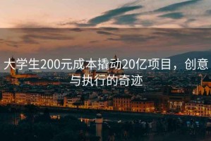 大學(xué)生200元成本撬動(dòng)20億項目，創(chuàng  )意與執行的奇跡