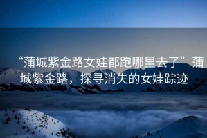“蒲城紫金路女娃都跑哪里去了”蒲城紫金路，探尋消失的女娃蹤跡