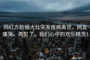 網(wǎng)紅方臉猴大壯突發(fā)疾病離世，網(wǎng)友痛哭，再見(jiàn)了，我們心中的歡樂(lè )精靈！