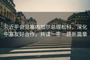 習近平會(huì )見(jiàn)塞內加爾總理松科，深化中塞友好合作，共謀一帶一路新篇章
