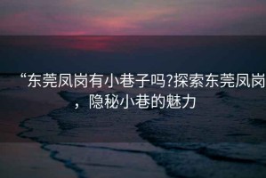 “東莞鳳崗有小巷子嗎?探索東莞鳳崗，隱秘小巷的魅力