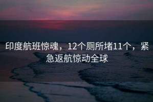 印度航班驚魂，12個(gè)廁所堵11個(gè)，緊急返航驚動(dòng)全球