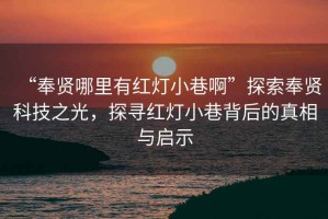 “奉賢哪里有紅燈小巷啊”探索奉賢科技之光，探尋紅燈小巷背后的真相與啟示