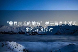 “曹縣賣(mài)淫的地方”關(guān)于曹縣賣(mài)淫現象的深度探討