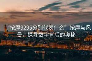 “按摩9295分別代表什么”按摩與風(fēng)景，探尋數字背后的奧秘