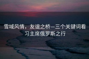 雪域風(fēng)情，友誼之橋—三個(gè)關(guān)鍵詞看習主席俄羅斯之行