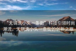 “無(wú)錫洗小頭一條街”科技引領(lǐng)時(shí)尚潮流，無(wú)錫洗小頭一條街的創(chuàng  )新之旅
