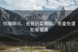 驚魂瞬間，爸爸扔菜救險，男童免遭蛇毒侵襲