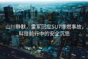 山川靜默，雷軍回應SU7爆燃事故，科技前行中的安全沉思