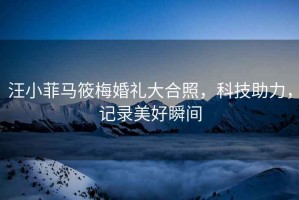 汪小菲馬筱梅婚禮大合照，科技助力，記錄美好瞬間