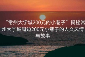 “常州大學(xué)城200元的小巷子”揭秘常州大學(xué)城周邊200元小巷子的人文風(fēng)情與故事