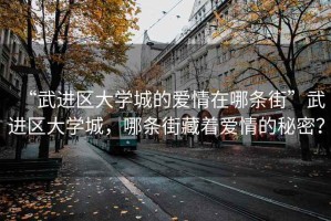“武進(jìn)區大學(xué)城的愛(ài)情在哪條街”武進(jìn)區大學(xué)城，哪條街藏著(zhù)愛(ài)情的秘密？
