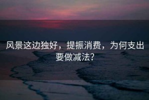 風(fēng)景這邊獨好，提振消費，為何支出要做減法？