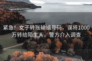 緊急！女子轉賬輸錯號碼，誤將1000萬(wàn)轉給陌生人，警方介入調查