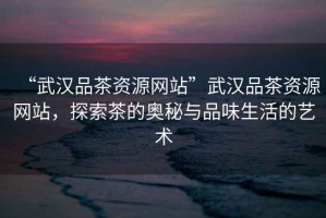 “武漢品茶資源網(wǎng)站”武漢品茶資源網(wǎng)站，探索茶的奧秘與品味生活的藝術(shù)