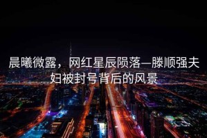 晨曦微露，網(wǎng)紅星辰隕落—滕順強夫婦被封號背后的風(fēng)景