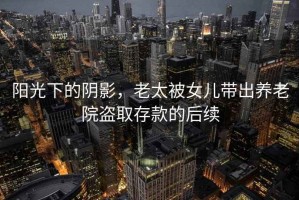 陽(yáng)光下的陰影，老太被女兒帶出養老院盜取存款的后續