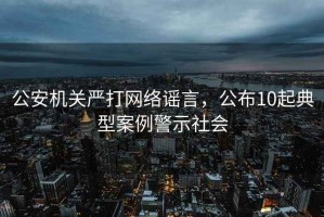 公安機關(guān)嚴打網(wǎng)絡(luò )謠言，公布10起典型案例警示社會(huì )