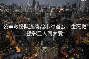 公羊救援隊連續72小時(shí)奮戰，生死救援彰顯人間大愛(ài)