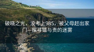 破曉之光，沒(méi)考上985，被父母趕出家門(mén)—探尋錯與責的迷霧