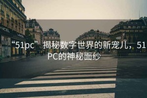 “51pc”揭秘數字世界的新寵兒，51PC的神秘面紗