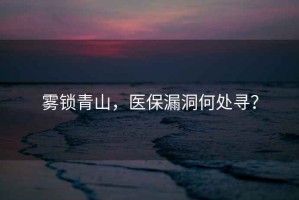霧鎖青山，醫保漏洞何處尋？
